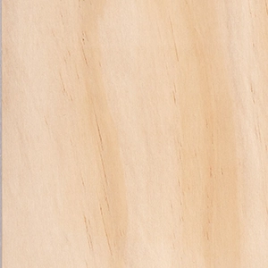 Accoya